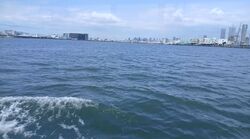 Northshore Drive (Punggol),  #638594561